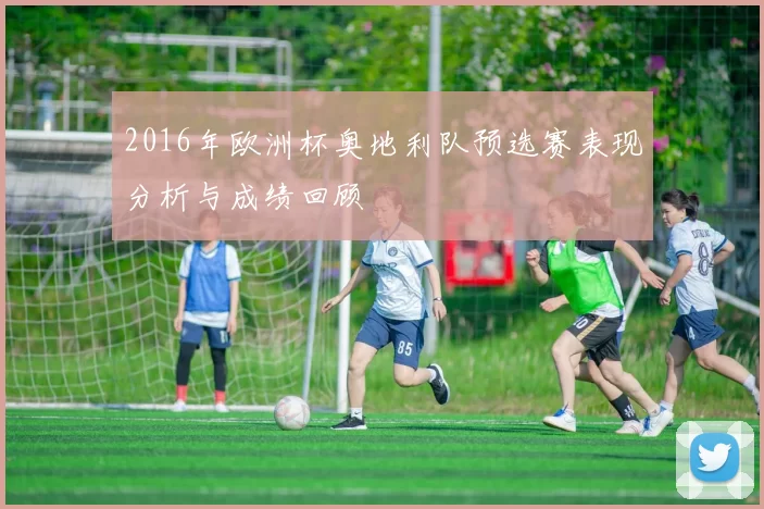 2016年欧洲杯奥地利队预选赛表现分析与成绩回顾