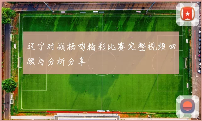 辽宁对战杨鸣精彩比赛完整视频回顾与分析分享