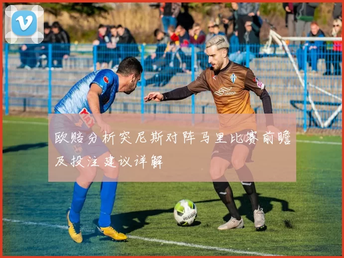 欧赔分析突尼斯对阵马里比赛前瞻及投注建议详解