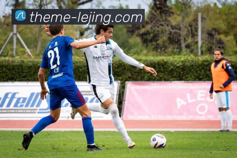 乐竞体育平台生态图